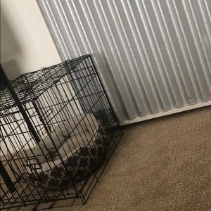 Meet your Posher, Lisette